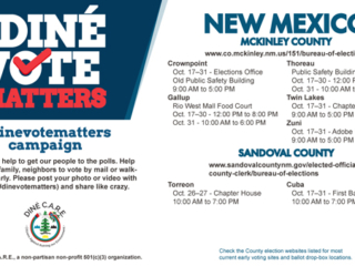 Navajo Nation Polling Places - New Mexico 2